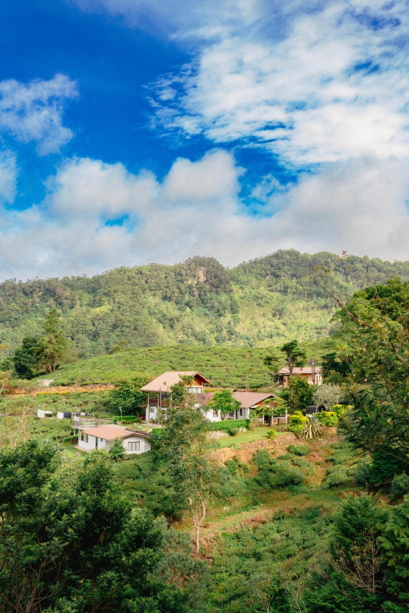 Hill Safari - Tea Estate Villa Ohiya Esterno foto