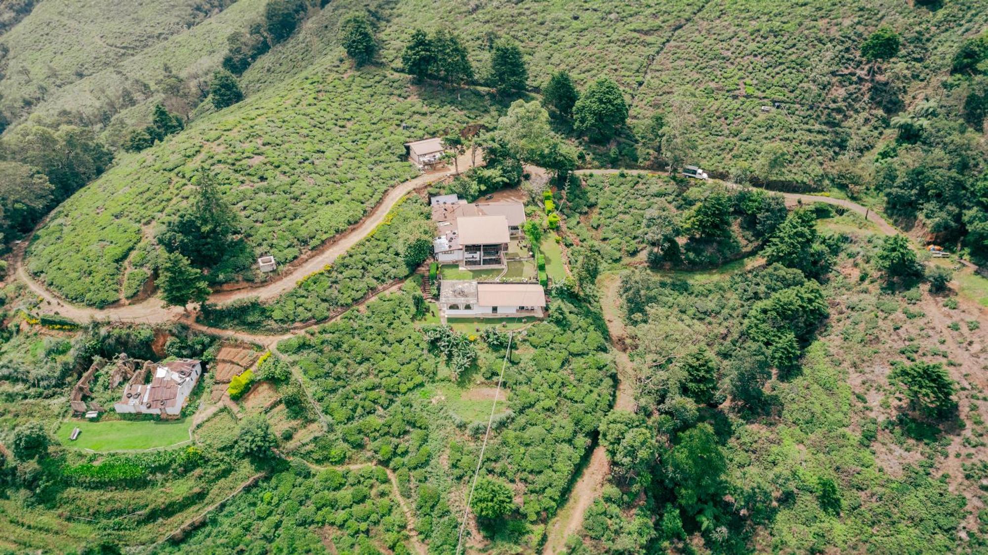 Hill Safari - Tea Estate Villa Ohiya Esterno foto