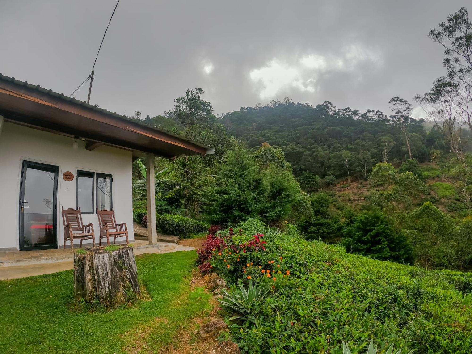 Hill Safari - Tea Estate Villa Ohiya Esterno foto