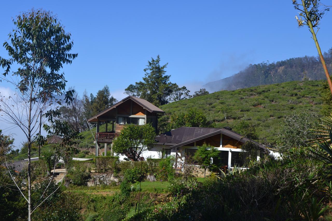Hill Safari - Tea Estate Villa Ohiya Esterno foto