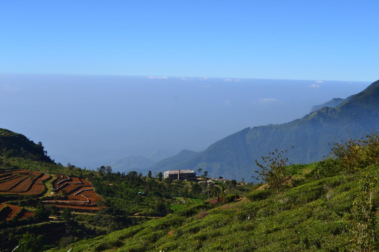 Hill Safari - Tea Estate Villa Ohiya Esterno foto