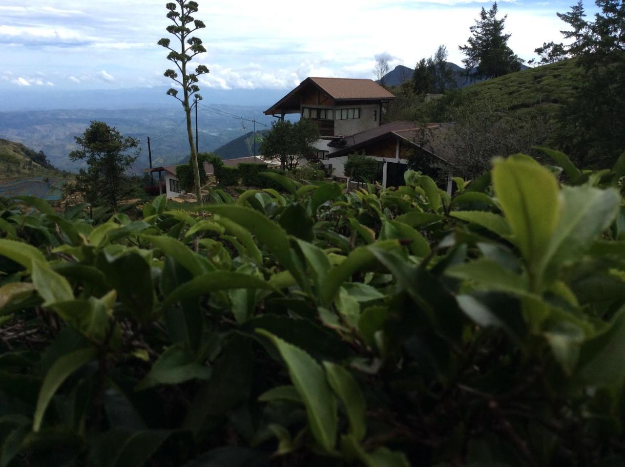 Hill Safari - Tea Estate Villa Ohiya Esterno foto